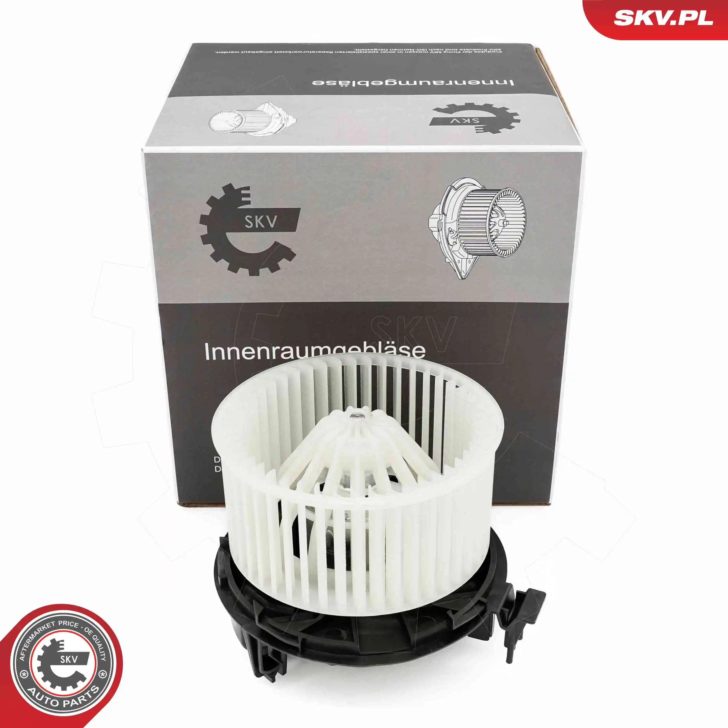 Interior Blower